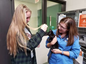 student playing with a kitten at the Woodbury Animal Humane Society