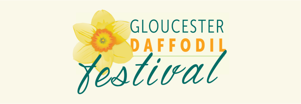 logo for the Gloucester Daffodil Festival