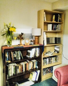 Ruths new bookshelf, complete with lighting and flowers.