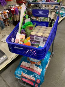 Shopping cart full of cat and kitten supplies for #GetKind