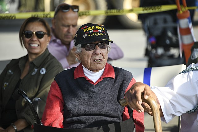 An elderley world war veteran sits watching a veterans day parade