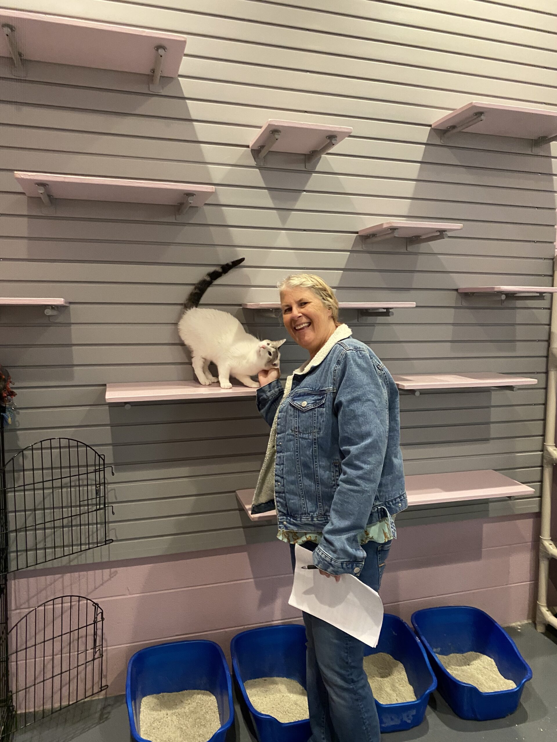 Animal lover Monica interacting with a shelter cat