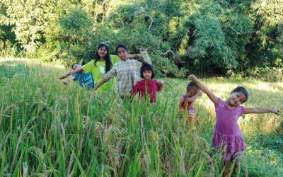 Sustainability 101: Feeding the Students of Nepal